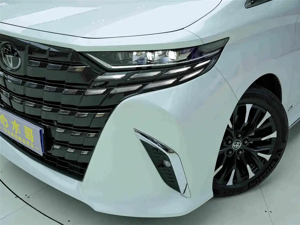 Toyota Alphard — миниатюра 21