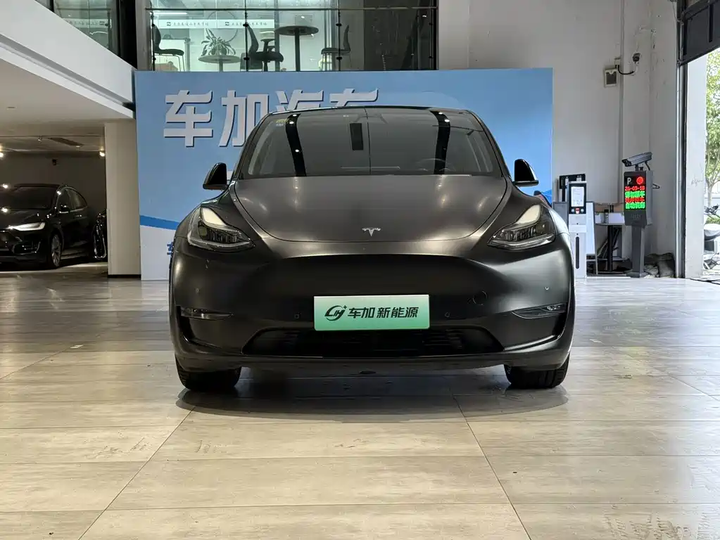 Tesla Model Y — миниатюра 2