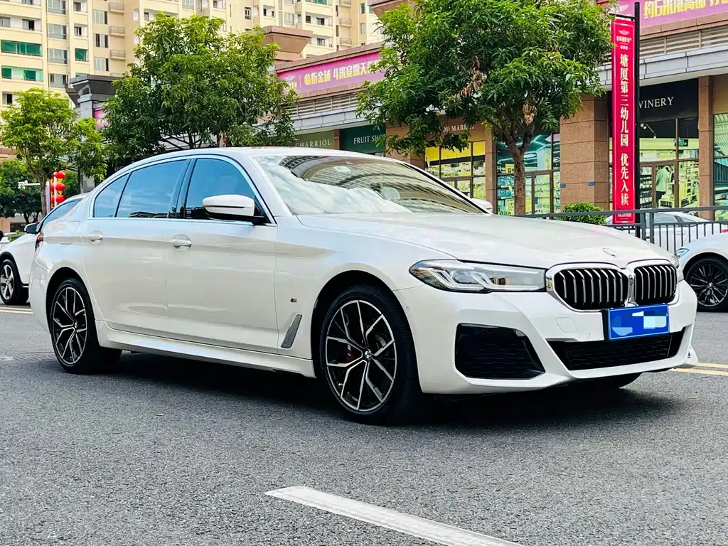 BMW 5 SERIES