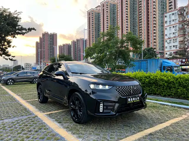 WEI PAI WEI BRAND VV7