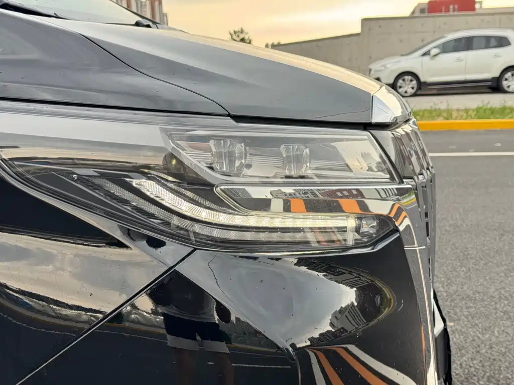 Toyota Alphard 2019 2.5L Luxury