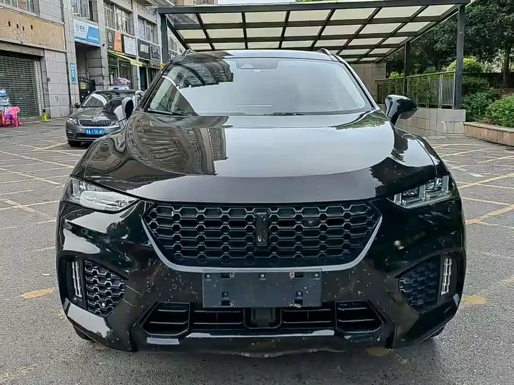 WEI PAI WEI BRAND VV7