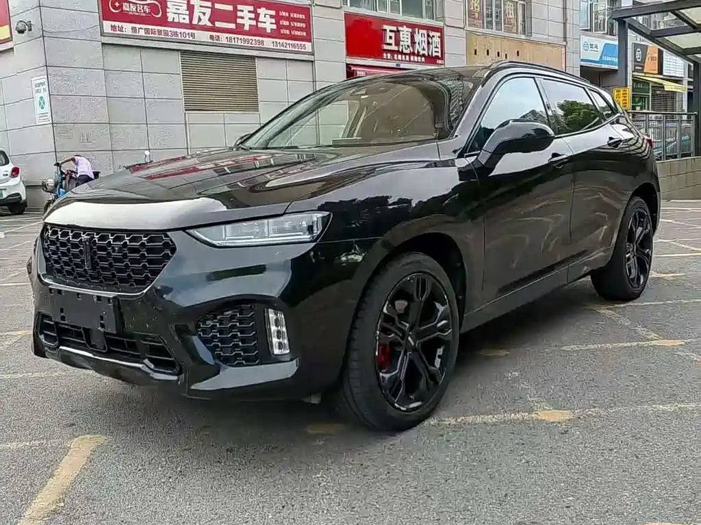 WEI PAI WEI BRAND VV7