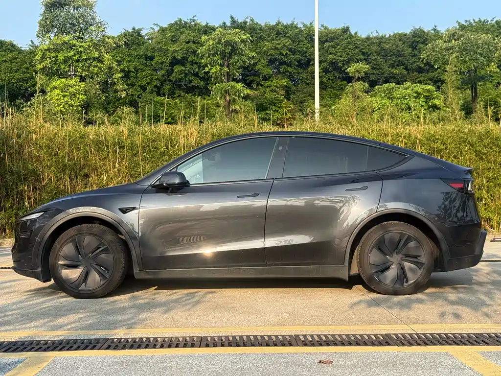 Tesla Model Y — миниатюра 15