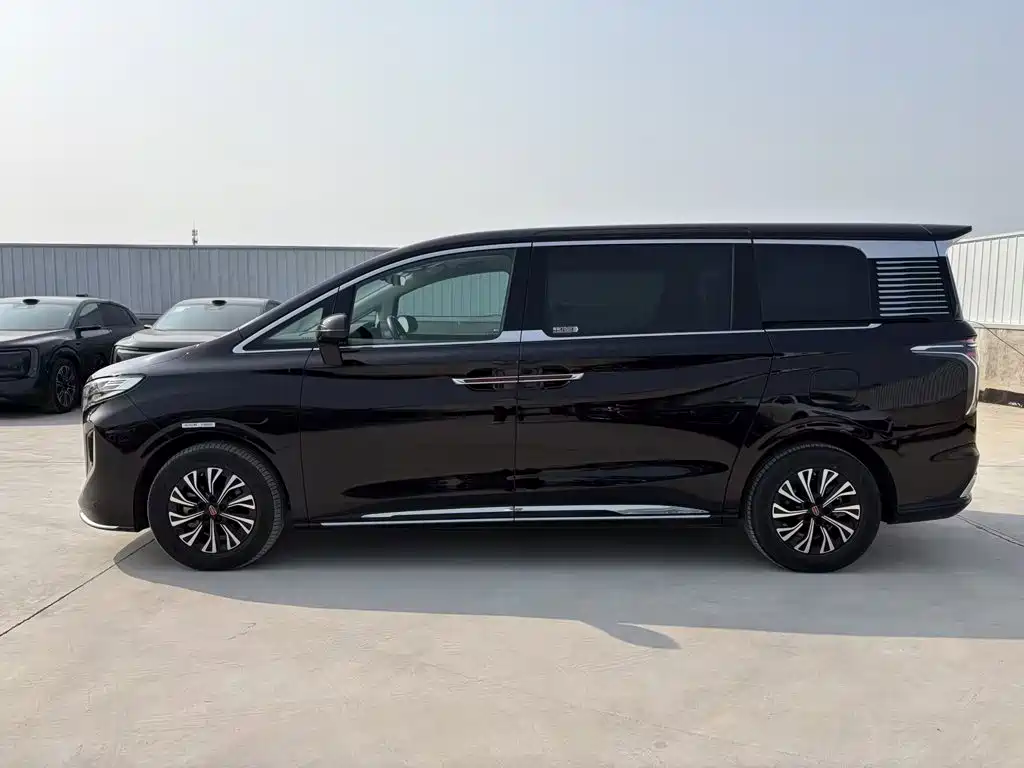 Hongqi Hongqi HQ9 — миниатюра 4