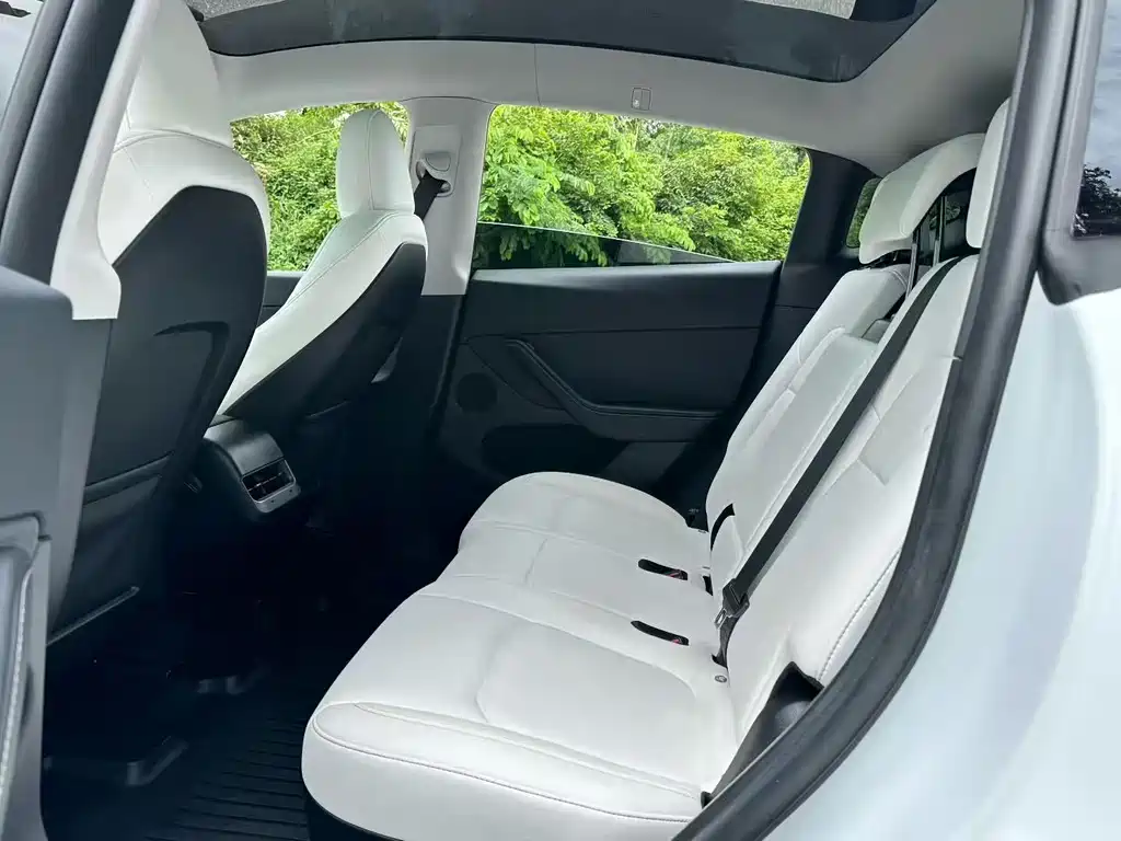 Tesla Model Y — миниатюра 6