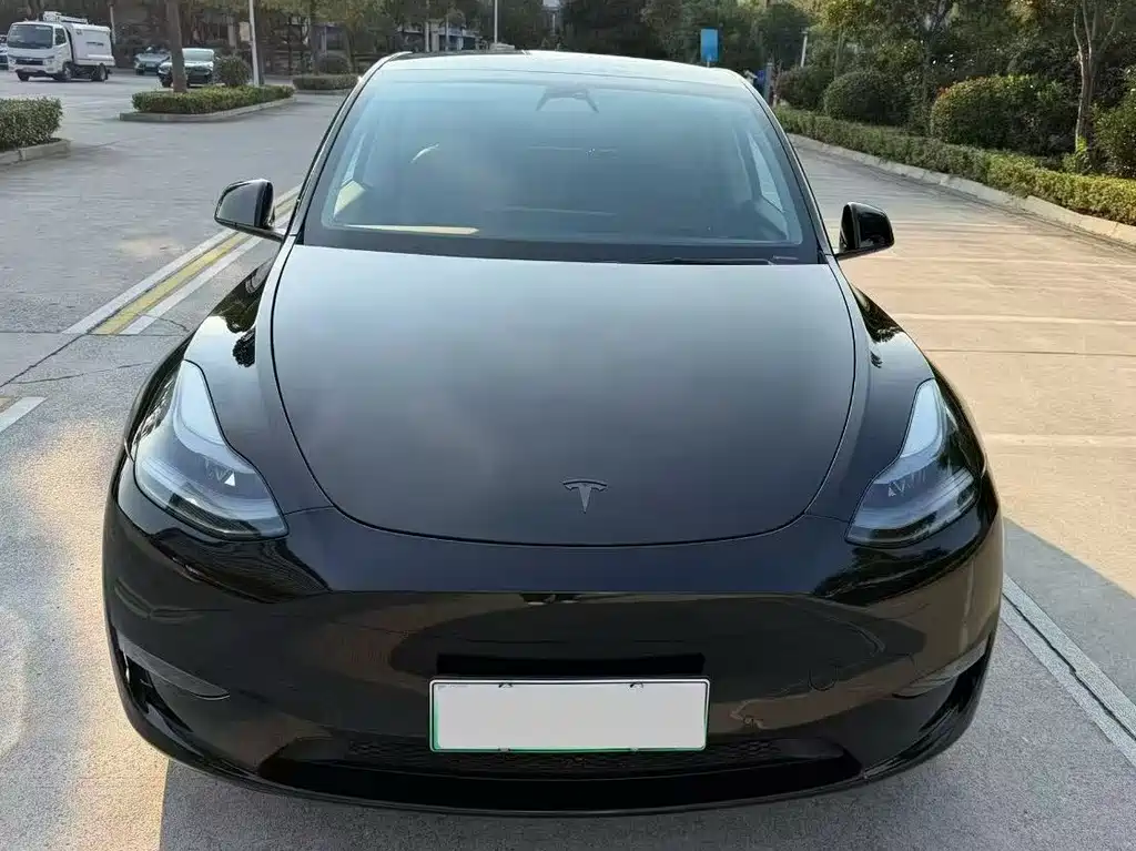Tesla Model Y — миниатюра 2