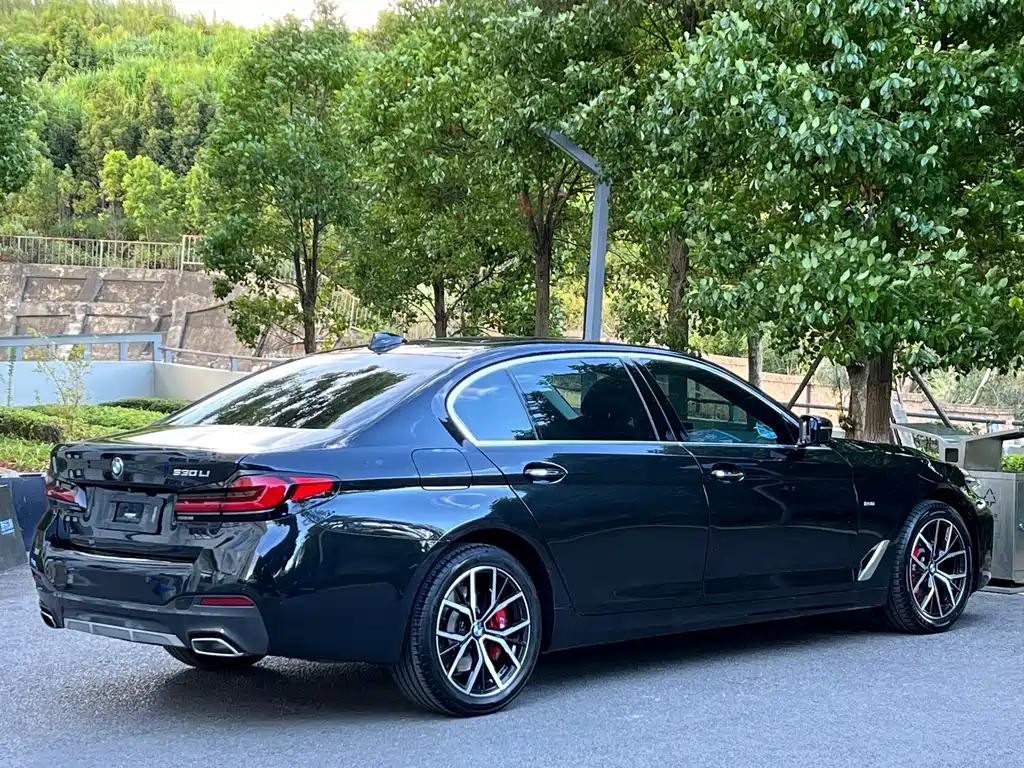 BMW 5 Series — миниатюра 8
