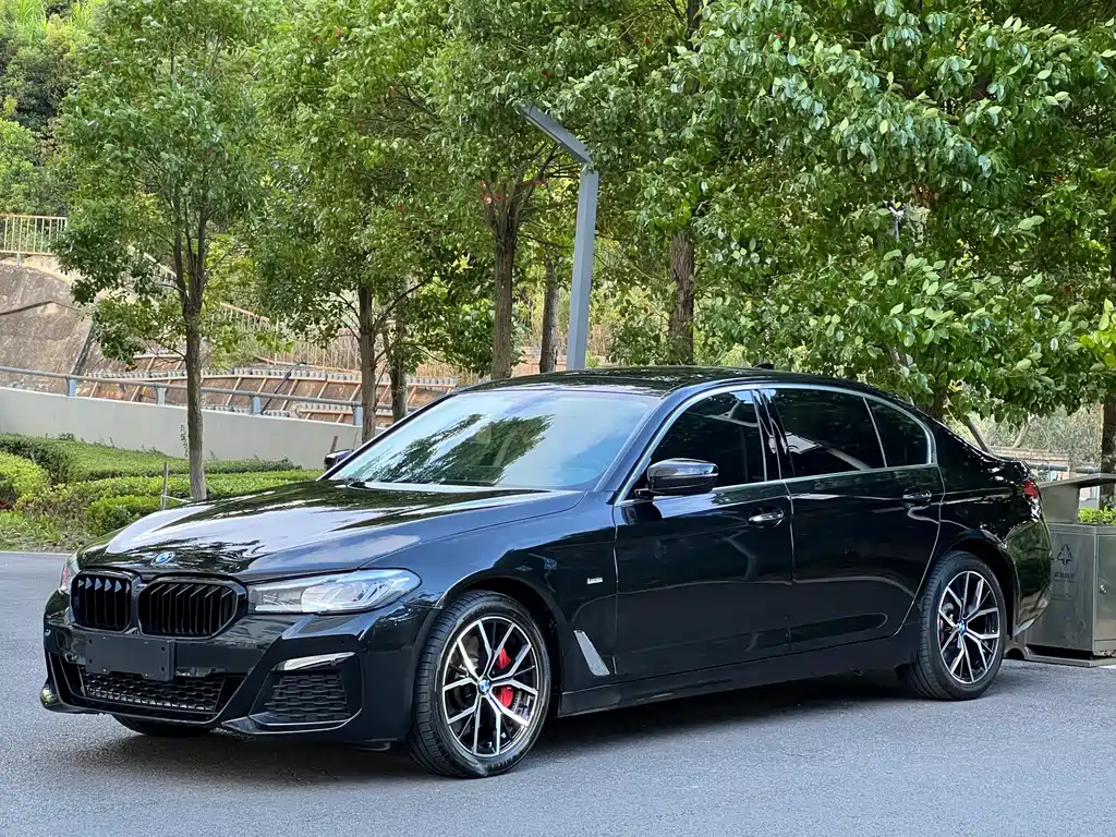 BMW 5 Series — миниатюра 2