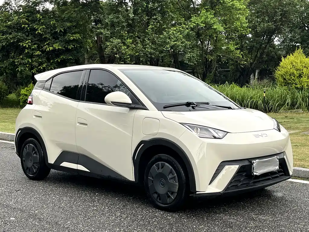BYD Seagull