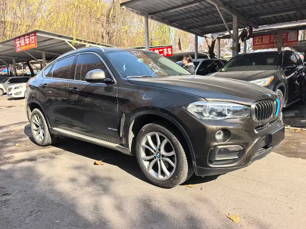 BMW X6
