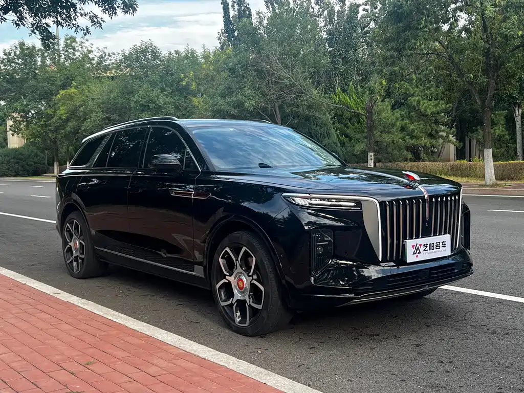 Hongqi Hongqi E-HS9 — миниатюра 3