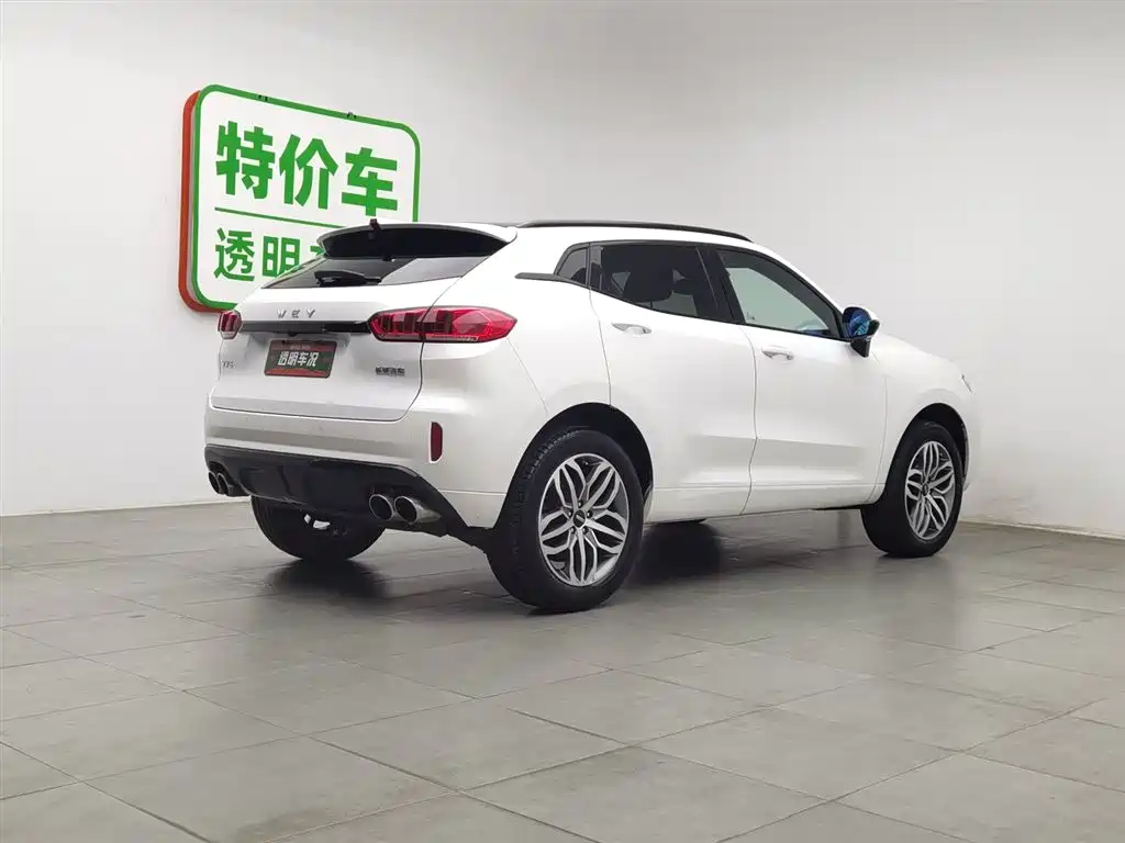 WEI PAI WEI BRAND VV5