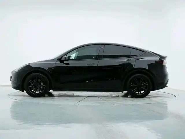 Tesla Model Y — миниатюра 6
