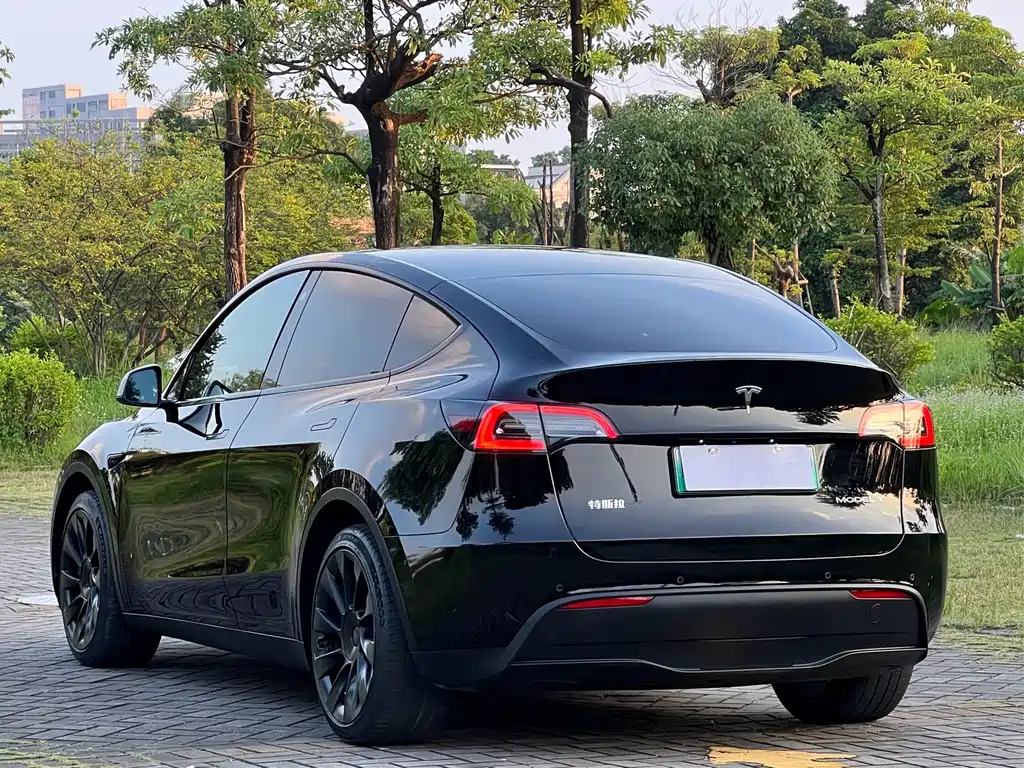 Tesla Model Y — миниатюра 6