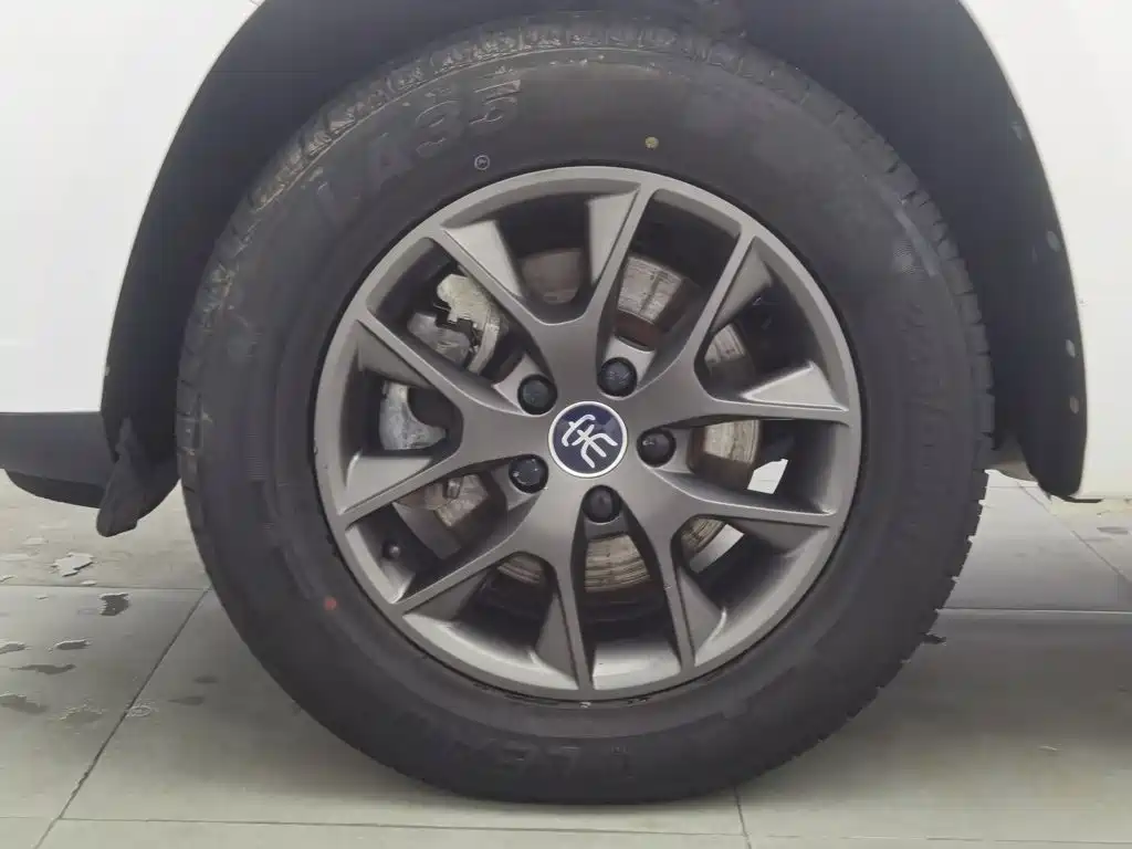 BYD Song — миниатюра 17