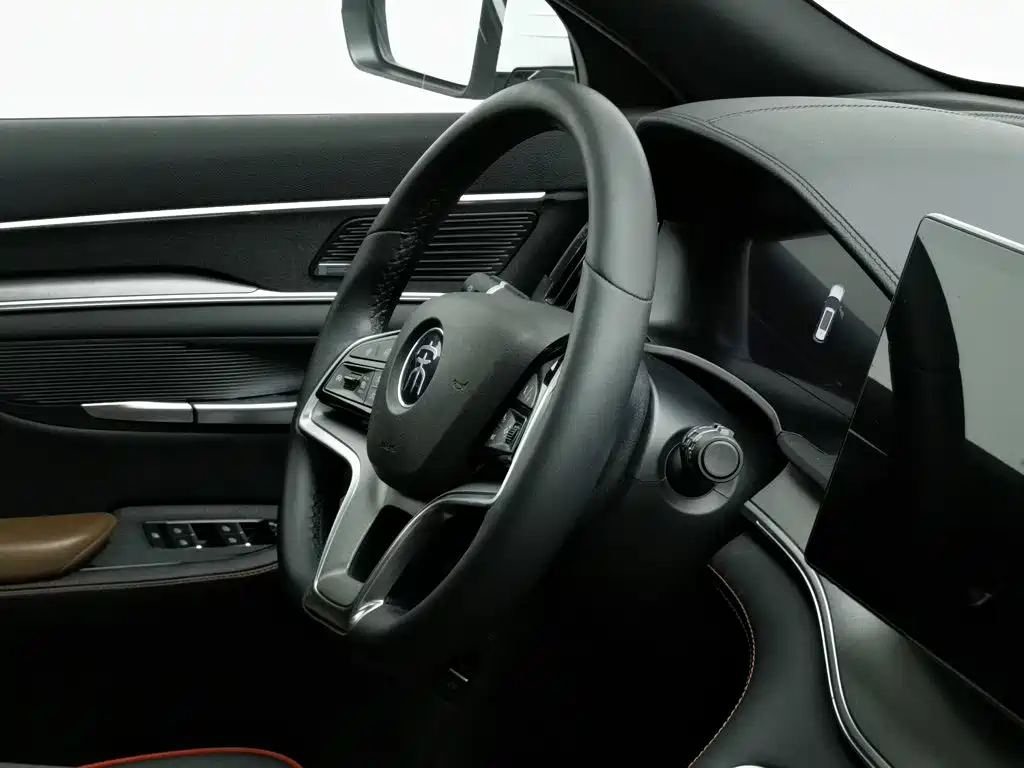 BYD PLUS — миниатюра 22