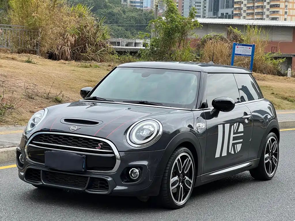 Mini Mini 2020