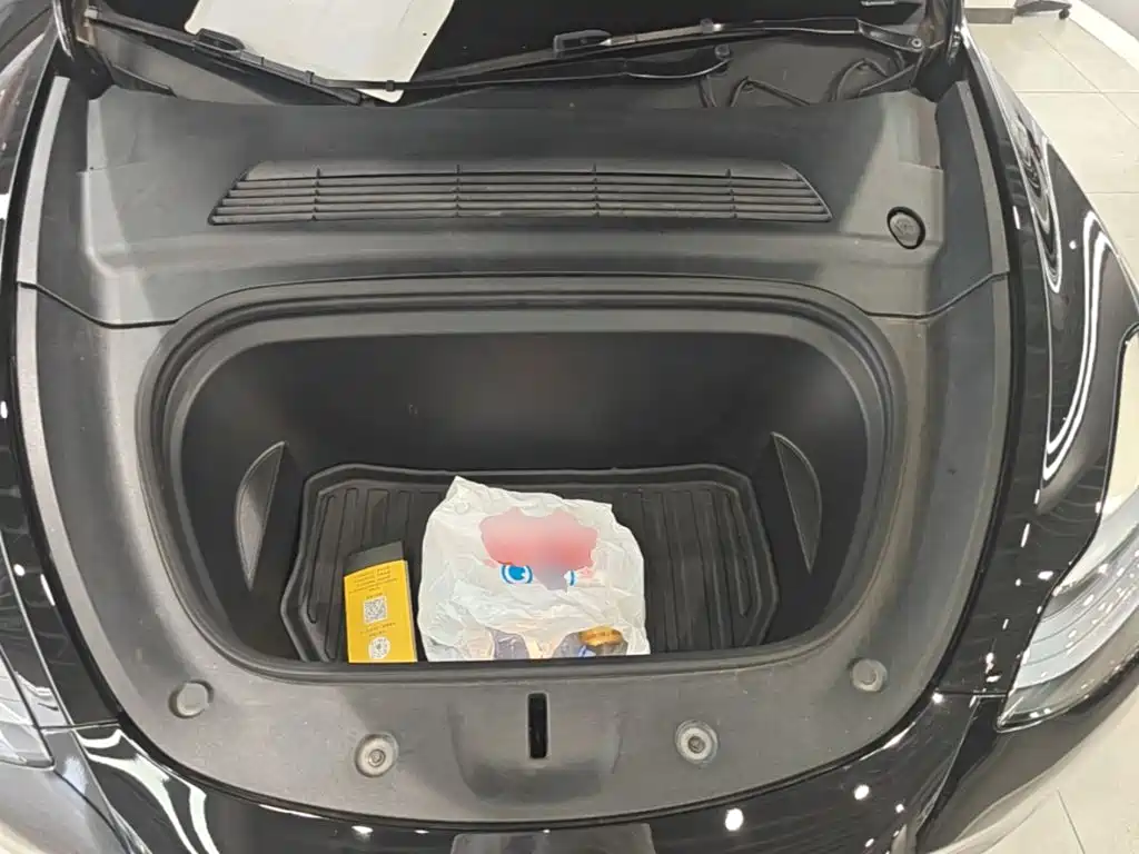 Tesla Model Y — миниатюра 20
