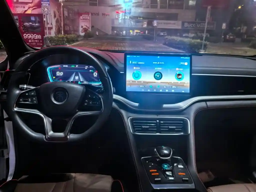 BYD PLUS — миниатюра 8