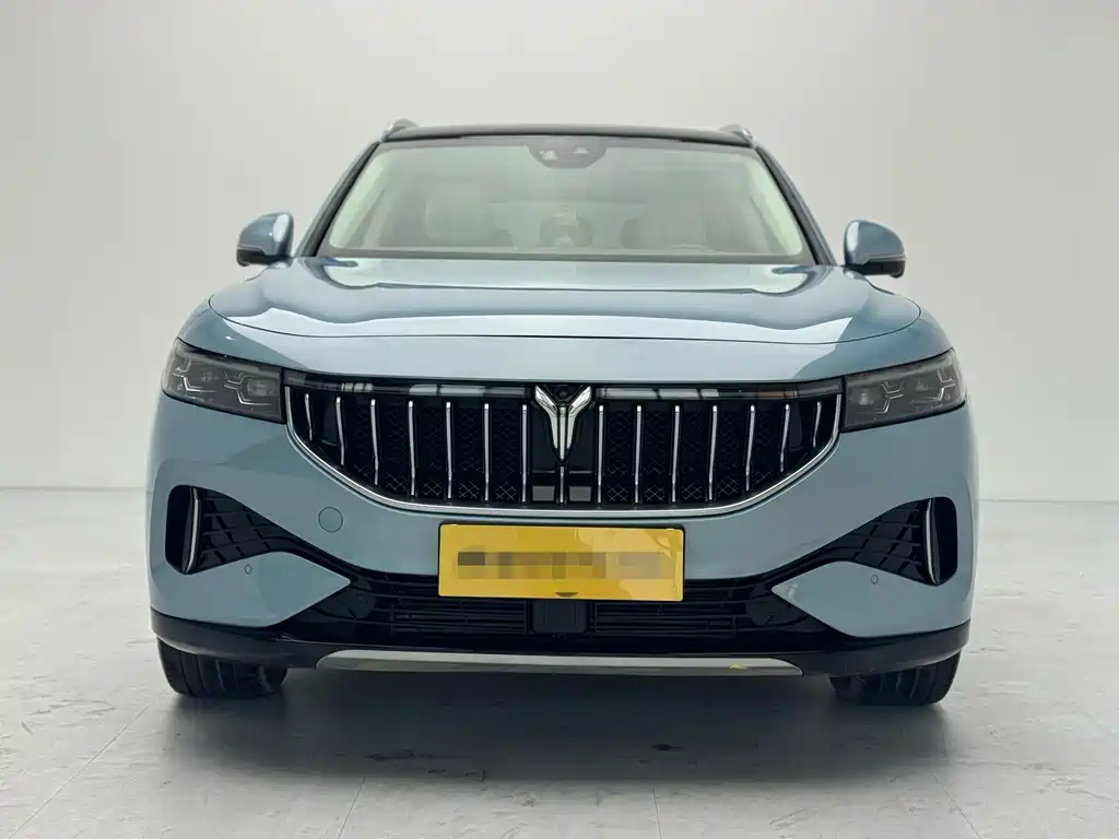 Voyah Free 2021 Luxury