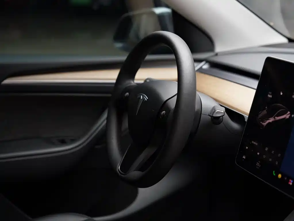 Tesla Model Y — миниатюра 13