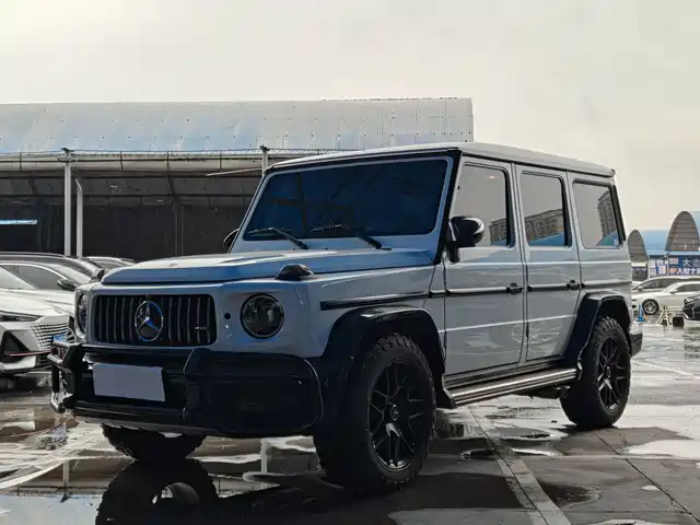 Mercedes-Benz G-Class 2017 G 350 d — фото 1
