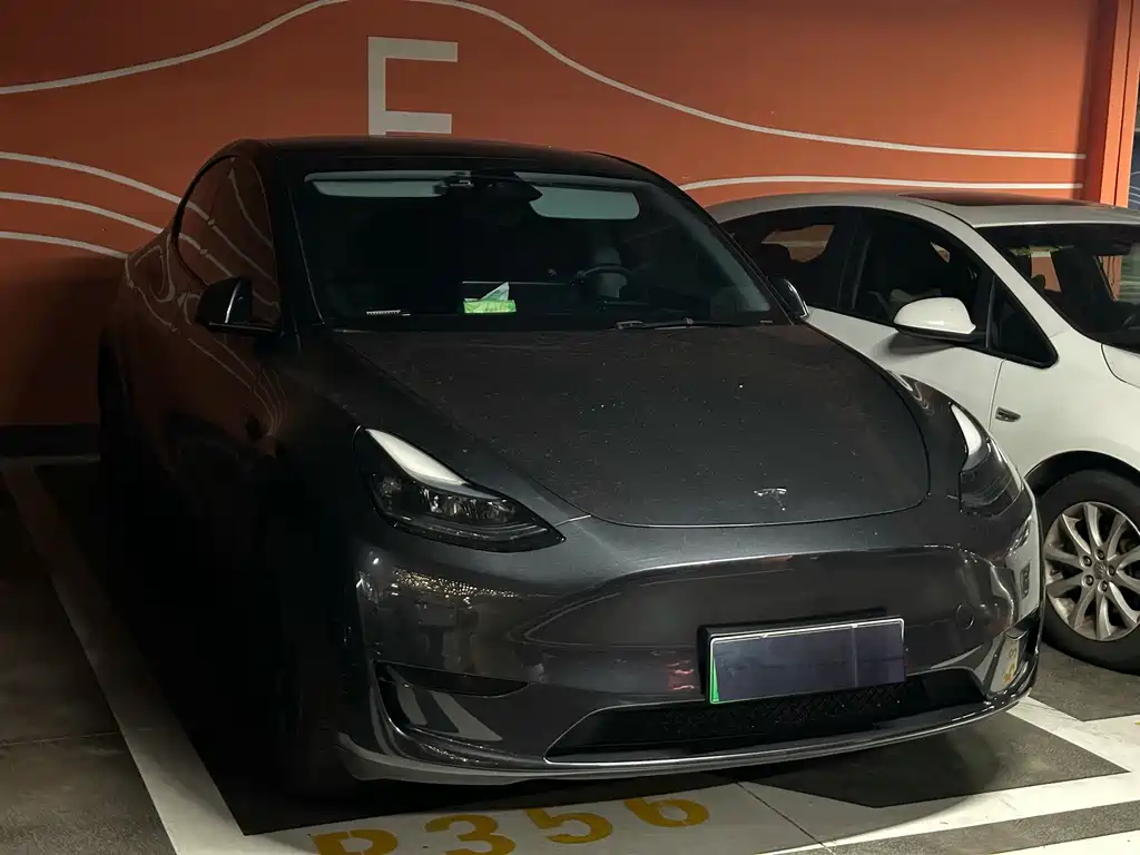 Tesla Model Y — миниатюра 3