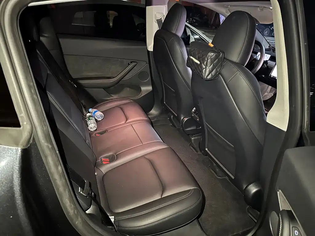 Tesla Model Y — миниатюра 5