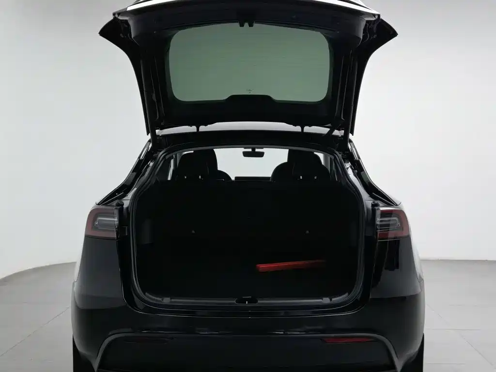 Tesla Model Y — миниатюра 16