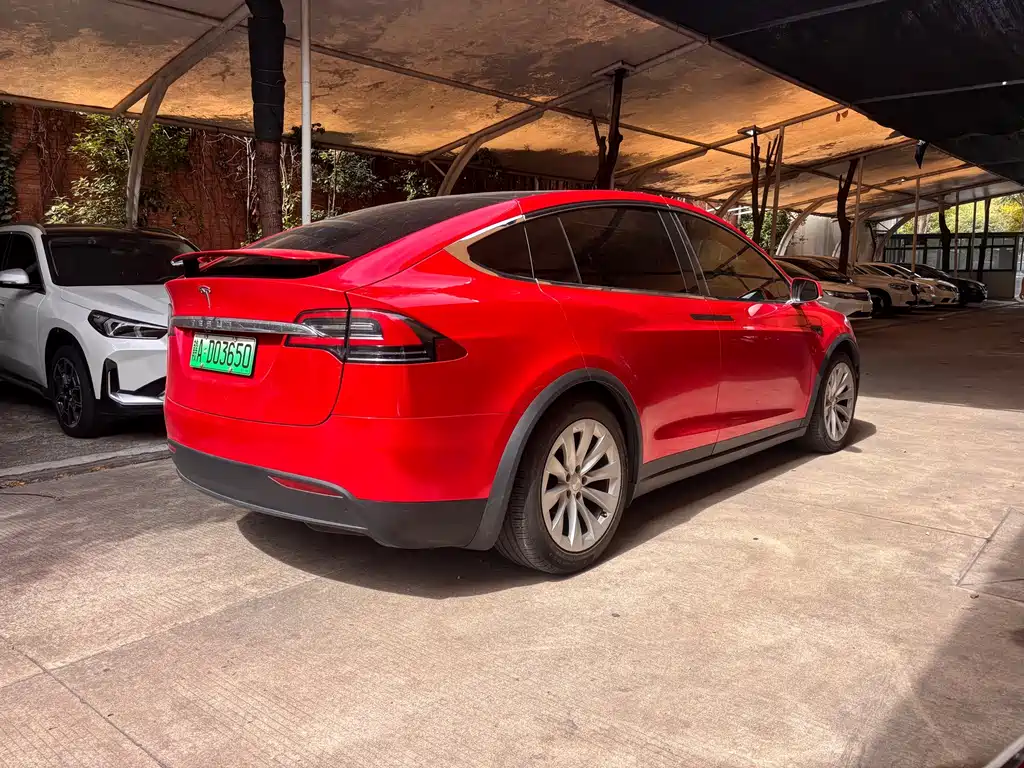 Tesla Model X — миниатюра 12