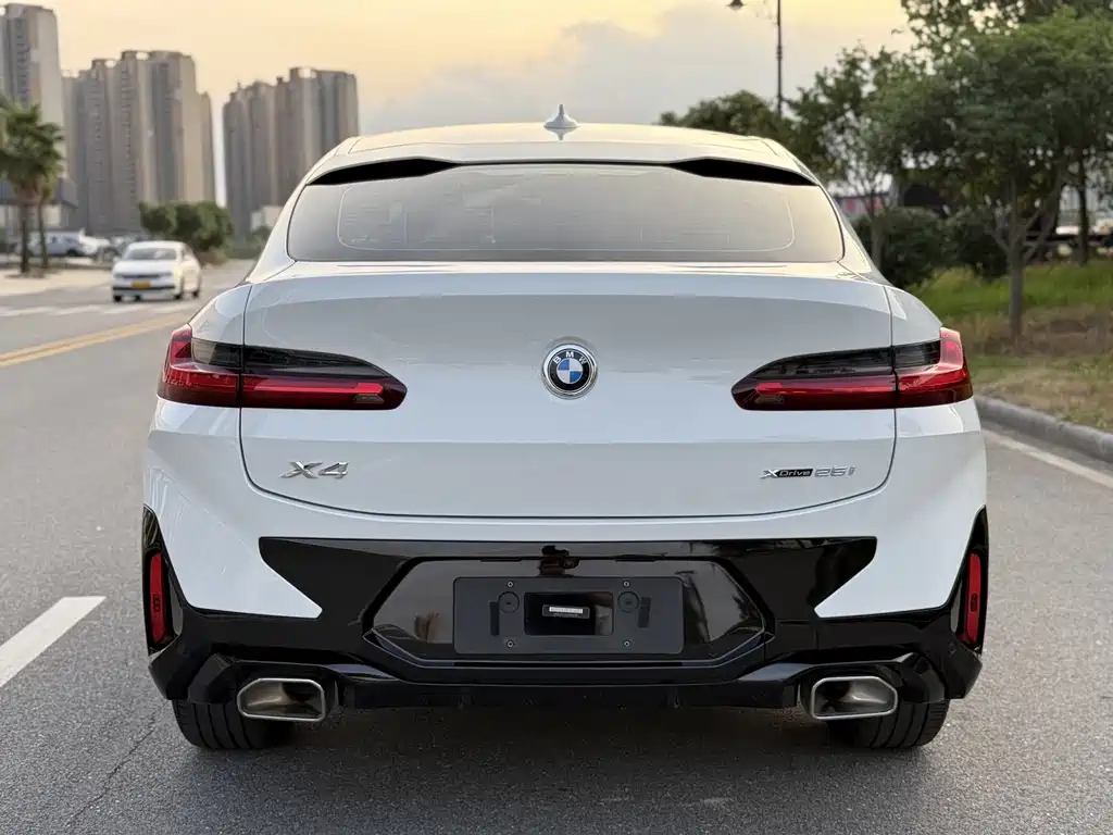BMW X4 — миниатюра 3