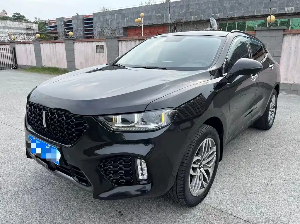 Wey Wey VV5