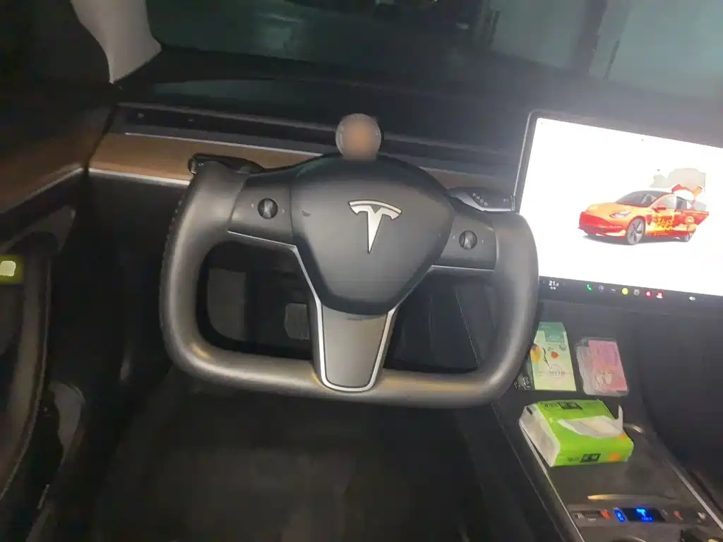 Tesla Model 3 — миниатюра 11