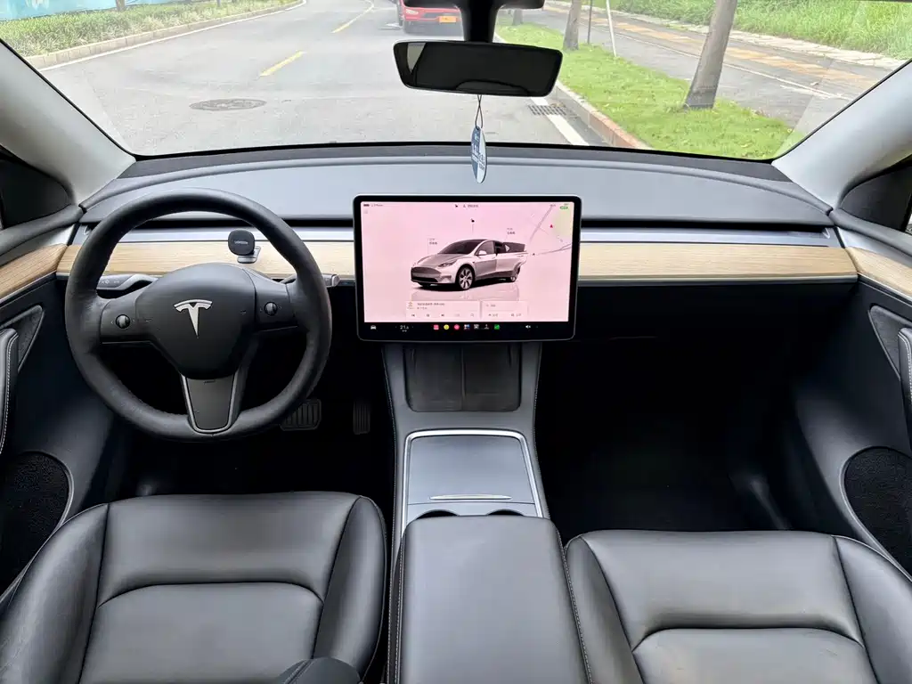 Tesla Model Y — миниатюра 6