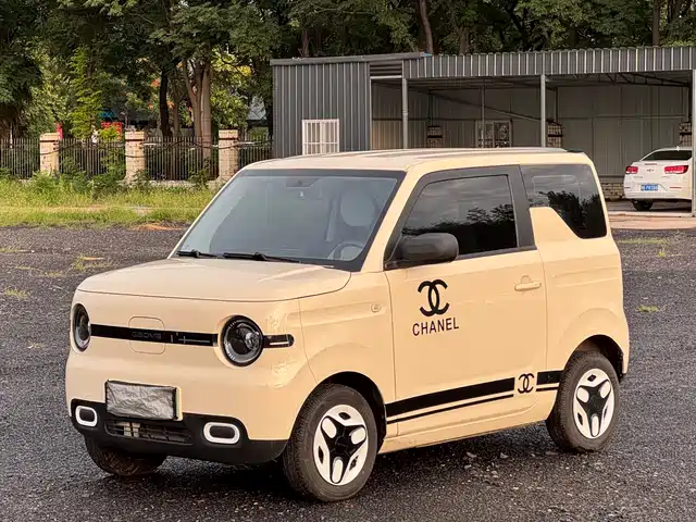 2025 Geely LC (Panda)