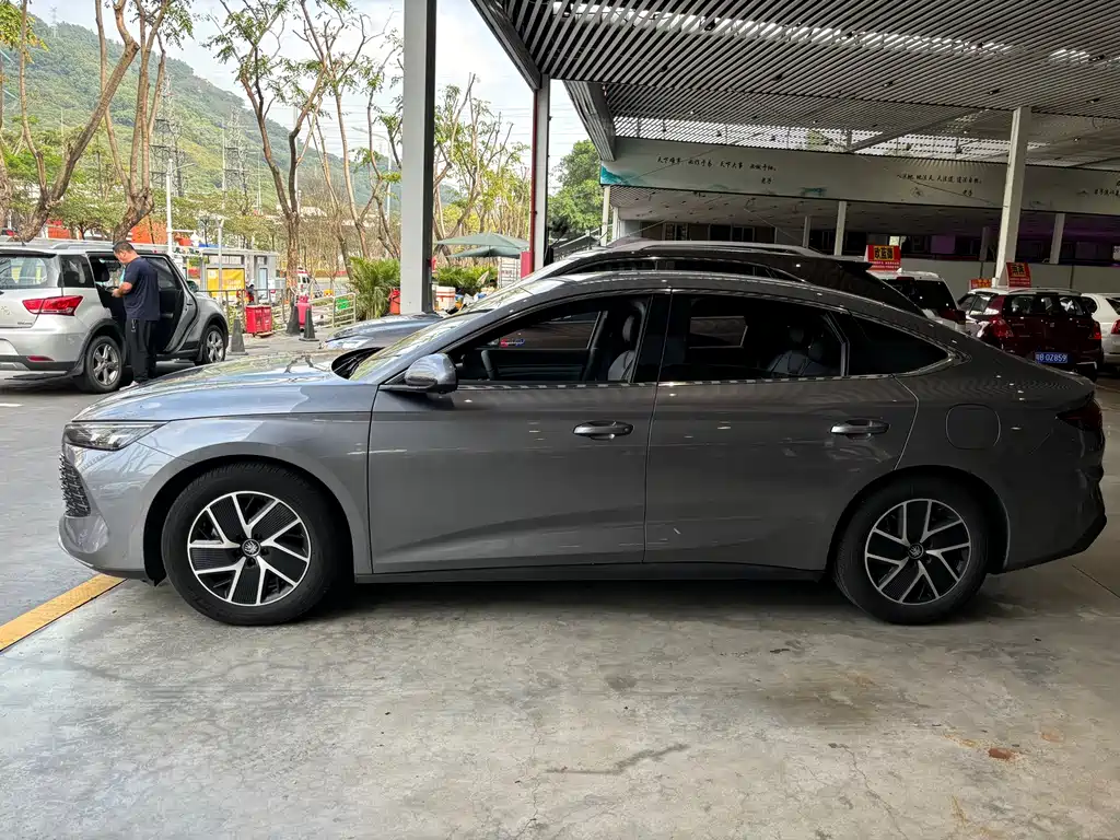 BYD QIN L