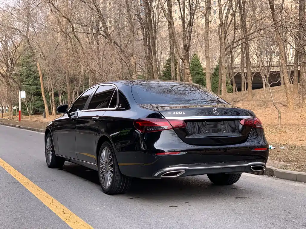 Mercedes-Benz E-Class E 2023 E 300 L Luxury
