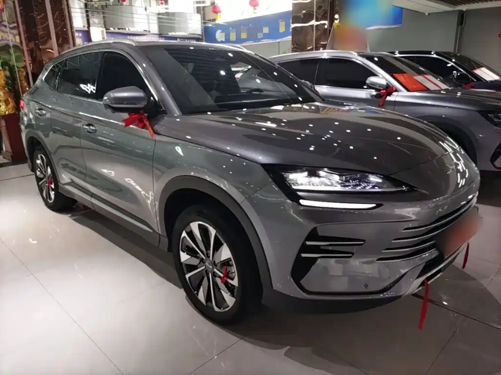 BYD PLUS New Energy — миниатюра 4
