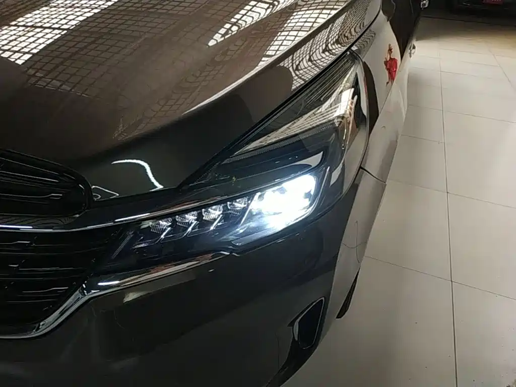 Buick GL8 — миниатюра 24