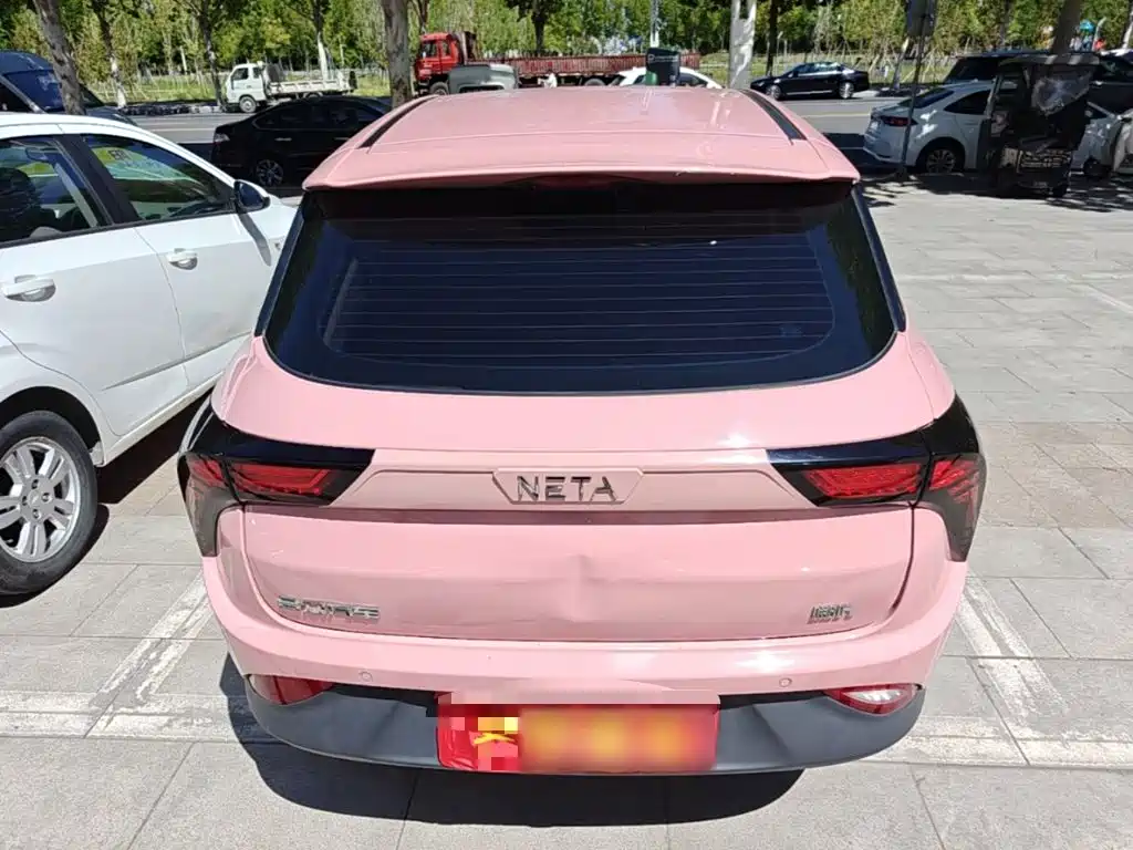 Neta Neta V — миниатюра 6