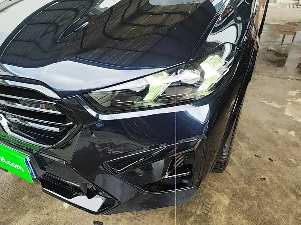 BMW X5 — миниатюра 24