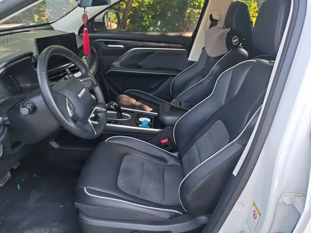 Haval H6 — миниатюра 15