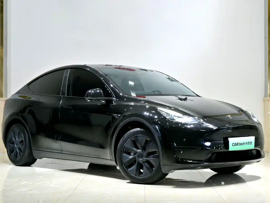 Tesla Model Y — миниатюра 3
