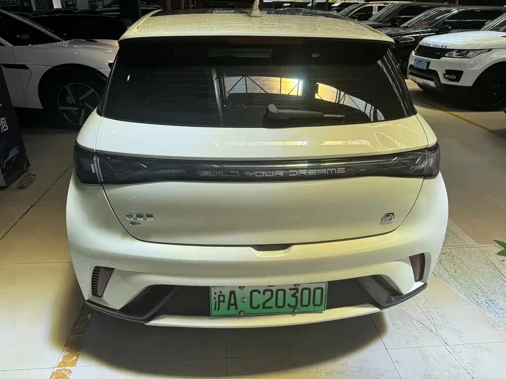 BYD Dolphin — миниатюра 7