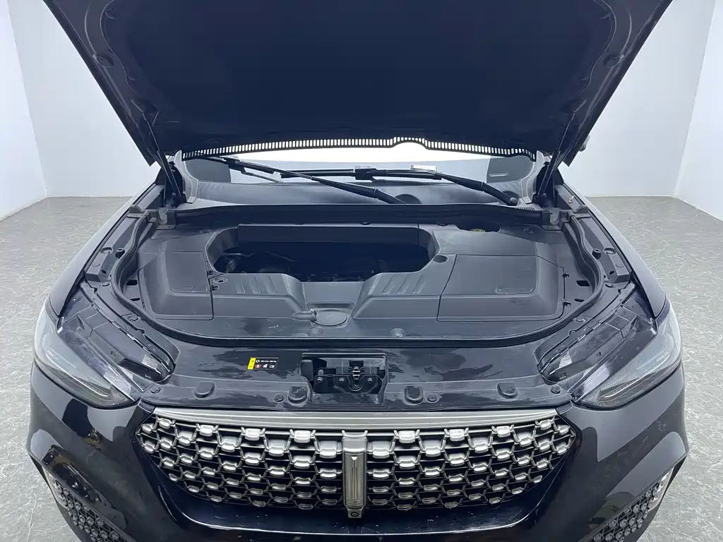 WEI PAI WEI BRAND VV6