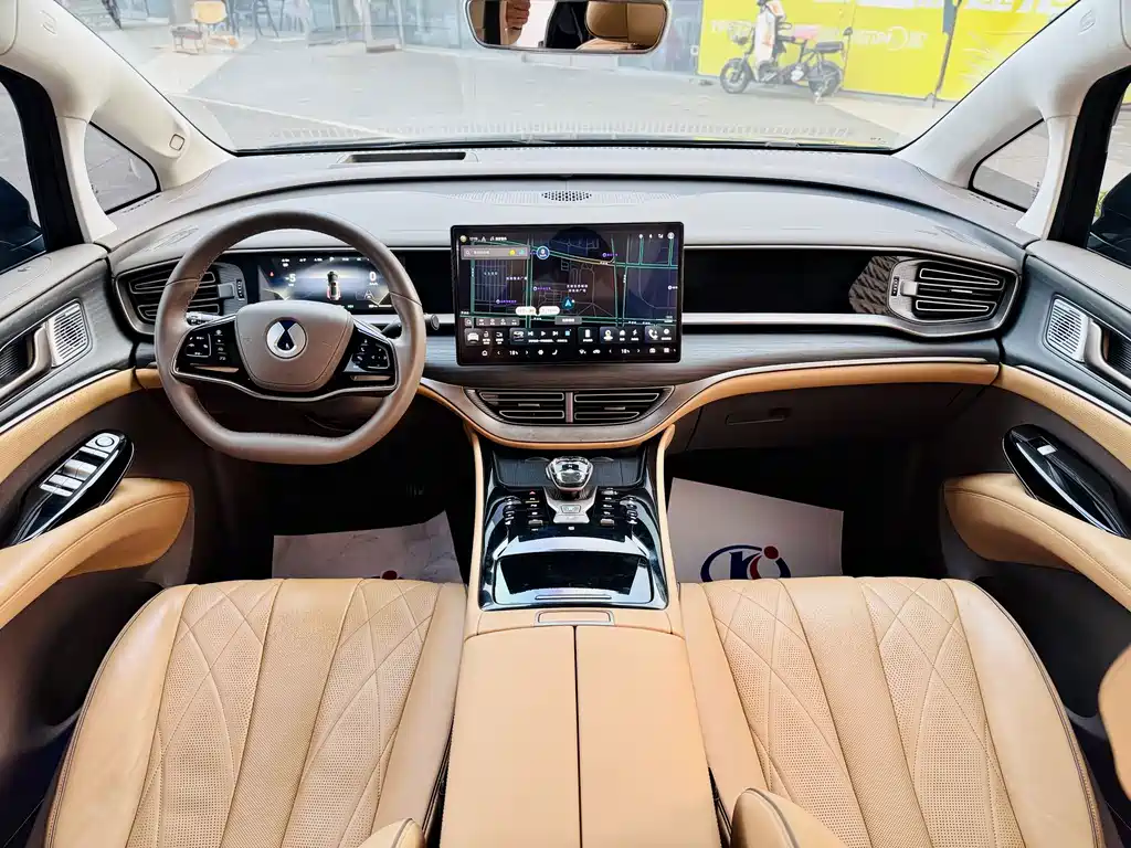 Denza Denza D9 — миниатюра 13