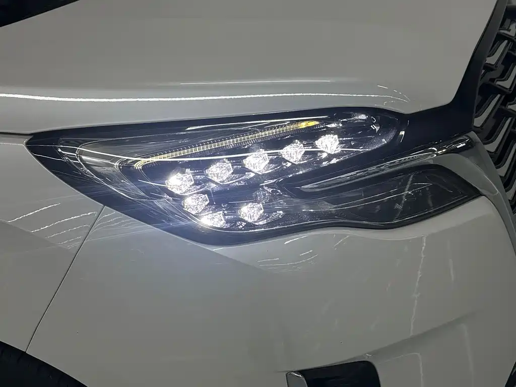 Buick GL8 — миниатюра 4
