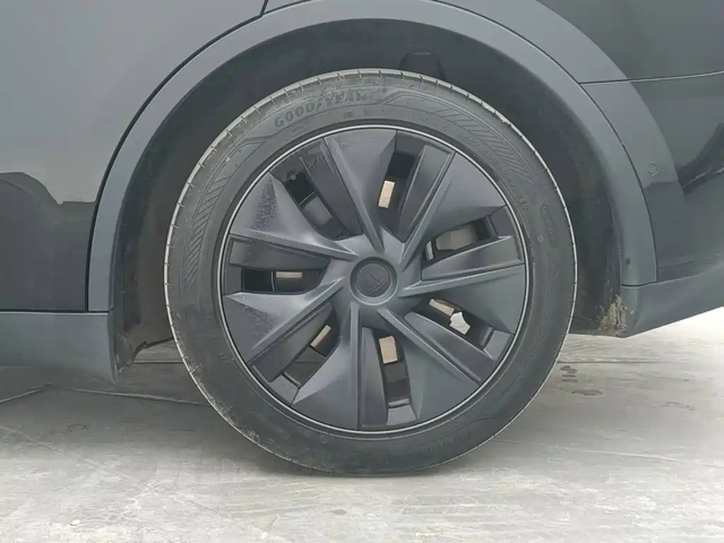 Tesla Model Y — миниатюра 13