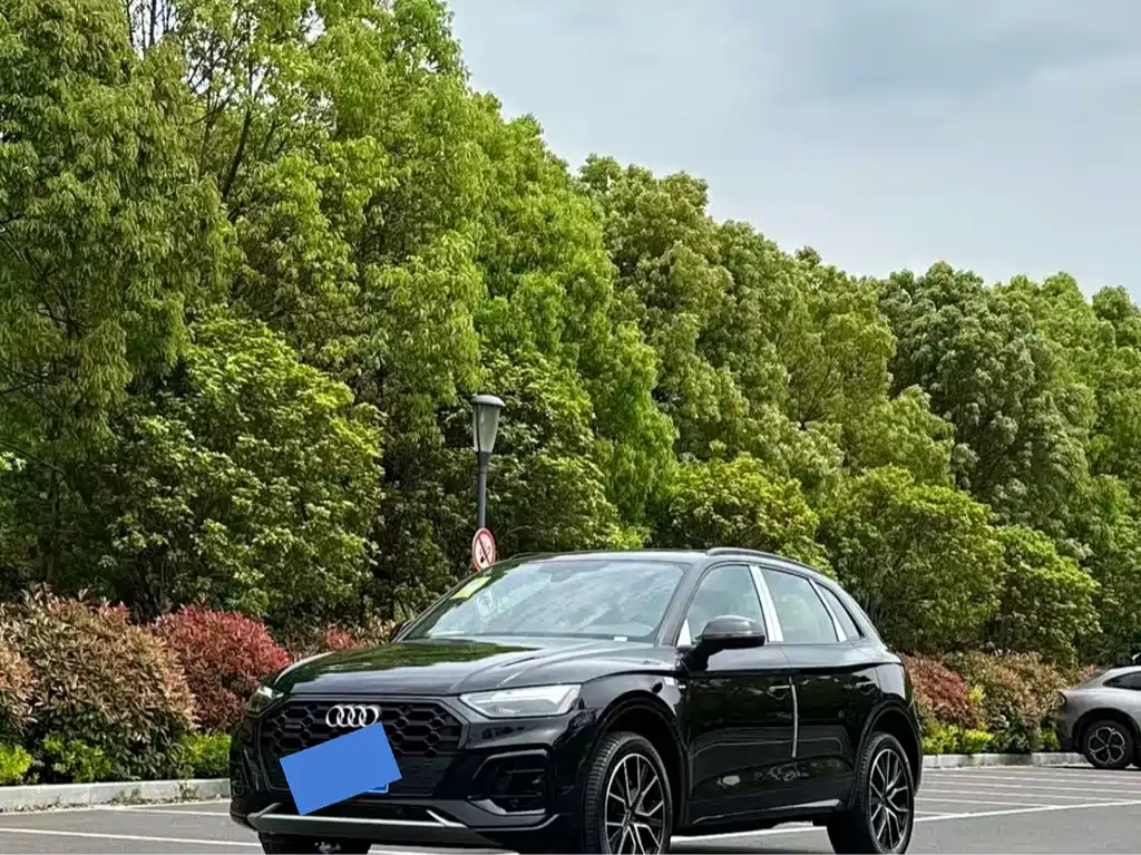 Audi Q5L 0